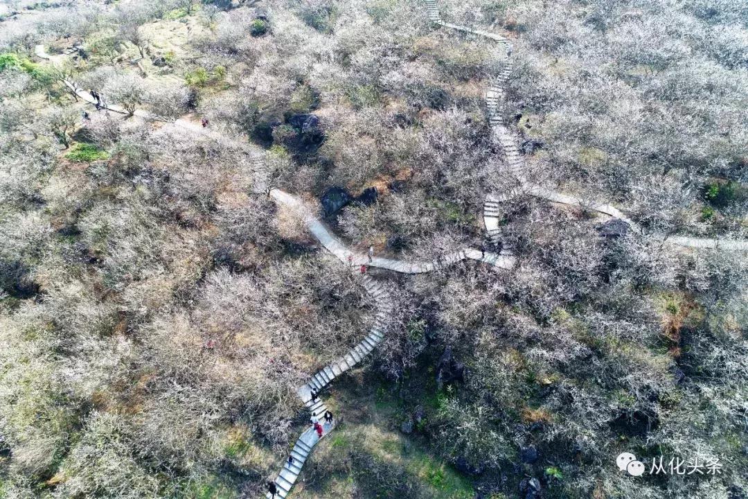 广州有哪些景点适合拍照,广州最美十大风景区在哪里