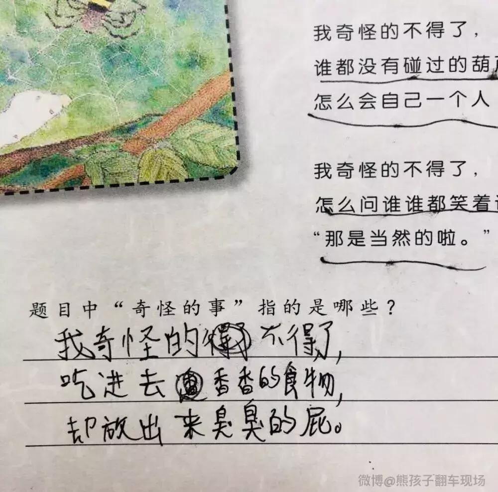 同样九年义务教育为何你如此优秀,都是九年义务教育为何你如此优秀