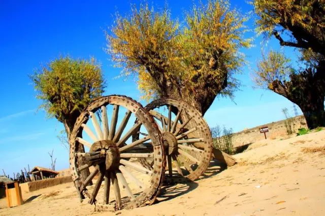 十一银川免费一日游推荐,宁夏十一一日游