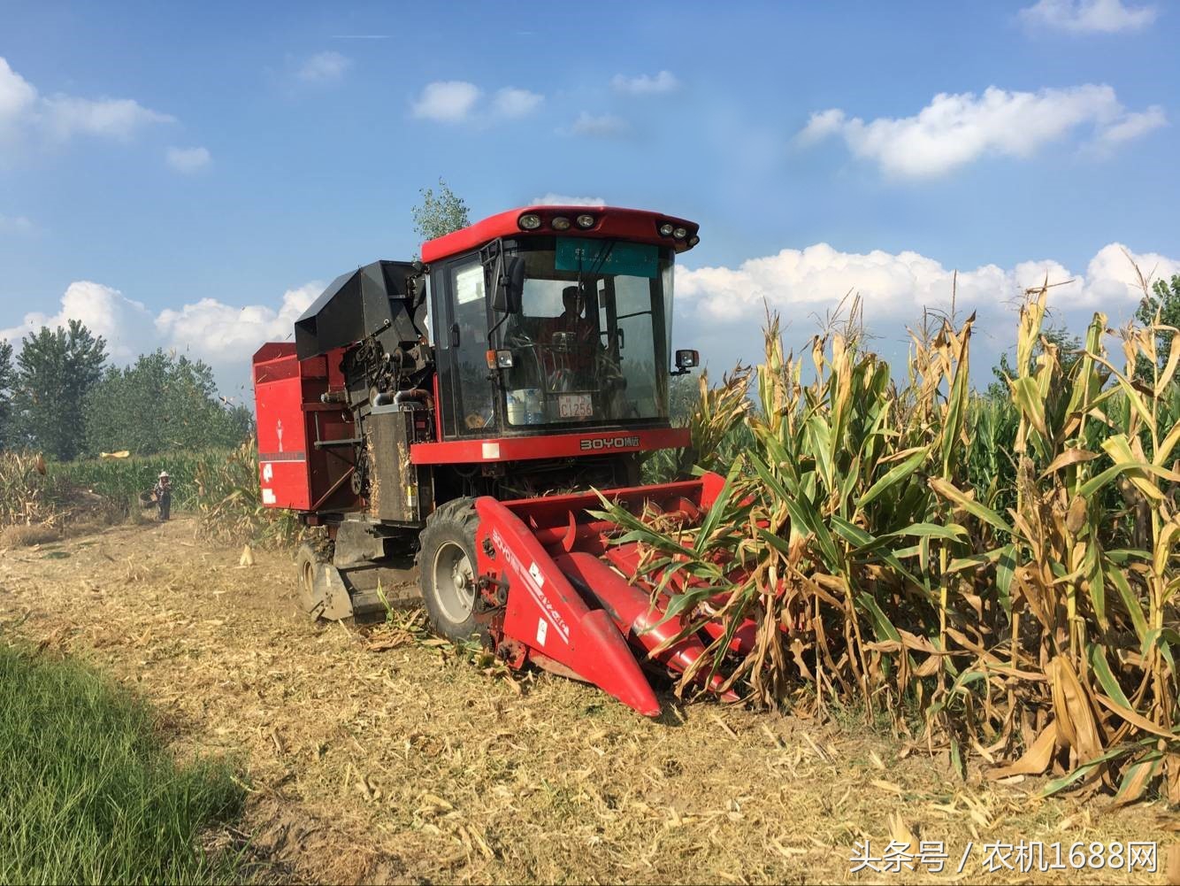 中农博远4yz-6收割机,玉米收获机4yz-3