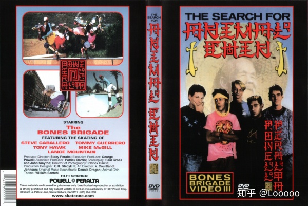 滑板鞋有什么特性,滑板鞋最火的是哪一款