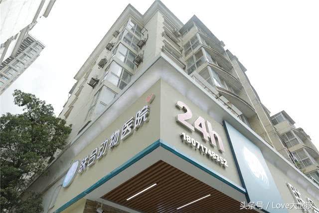 爱宠宠物医院服务中心,爱宠宠物医疗中心