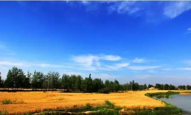 喜欢徐州的100个理由，有你的吗？