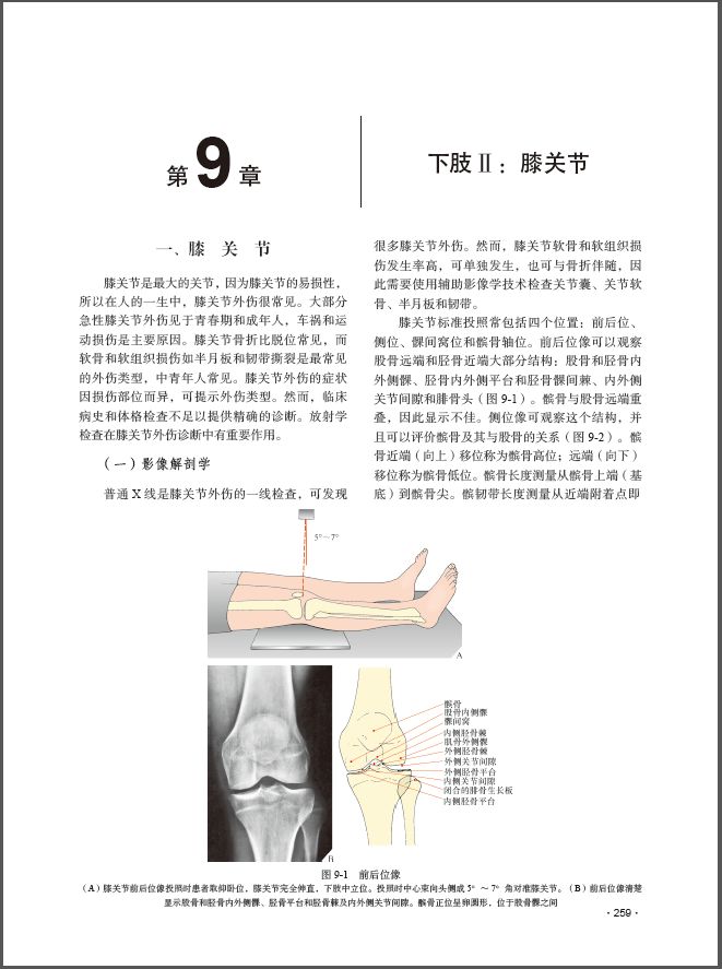 实用骨科影像学——原书第6版经典之作
