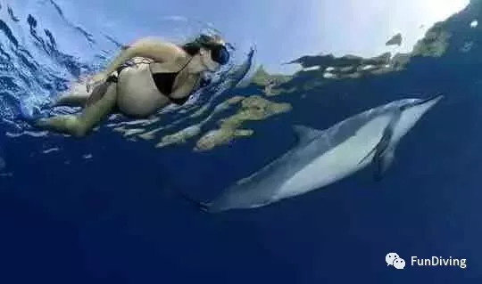 怀孕了潜水有什么影响,准备备孕可以去潜水吗