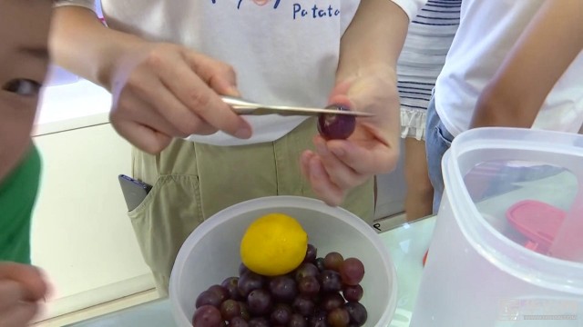 鎴戠殑绮惧僵鏆戞湡鐢熸椿,鎴戠殑绮惧僵鏆戝亣鍒嗕韩