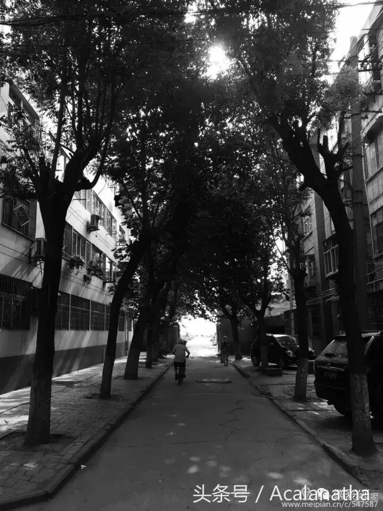 兴平：我的故乡我的云一一70后纤维厂纪事