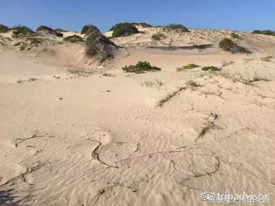 去哪些地方不适合穿裙子,去哪些地方玩不适合穿裙子