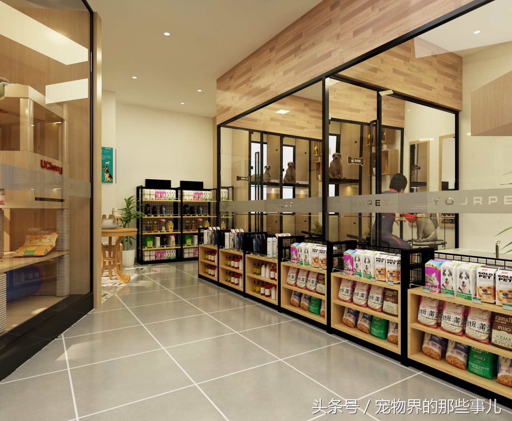 开宠物店赚钱吗,开宠物店赚钱么