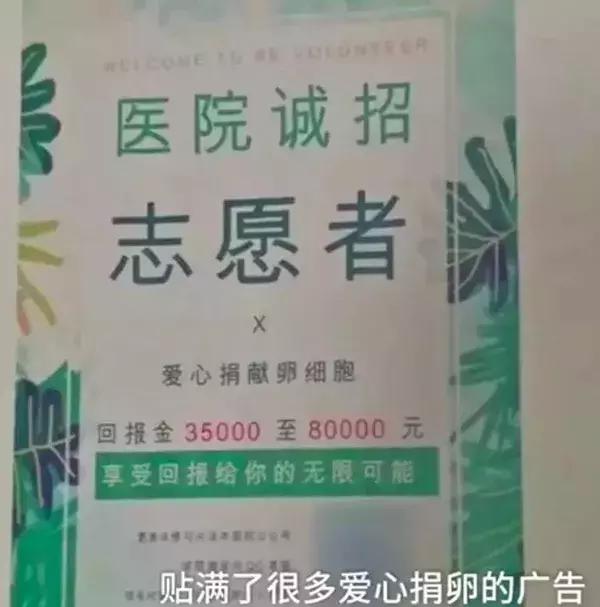 一篇文章带你彻底看懂,一篇文章带你了解真正的全案策划