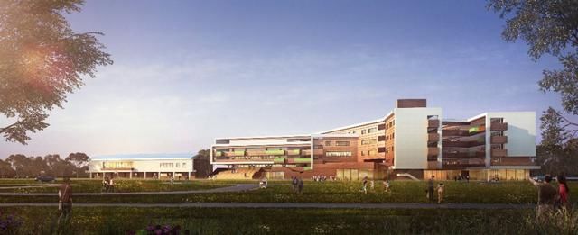 南沙比较好的公办小学,南沙新开的小学