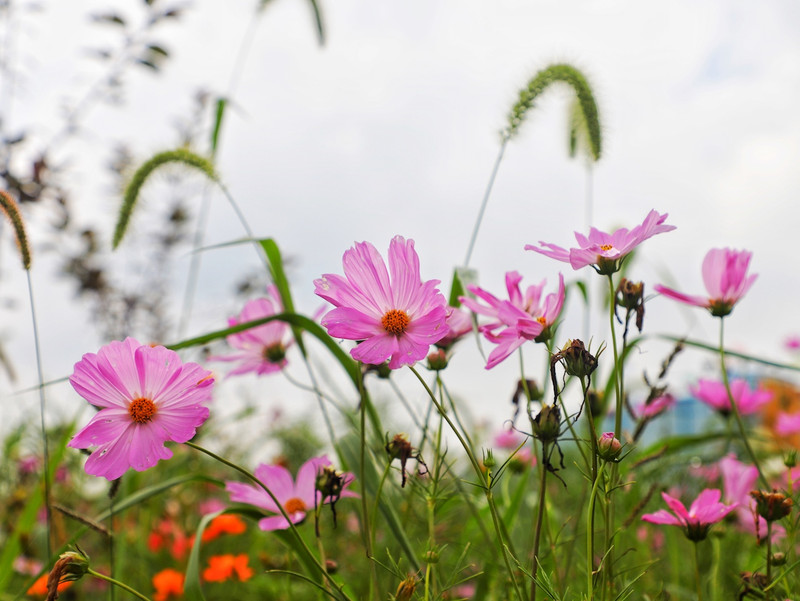 苏皖浙三省交界处,秋冬广德旅游攻略