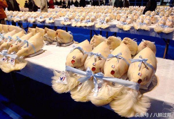 布雷斯鸡有多厉害,布雷斯鸡是什么鸡