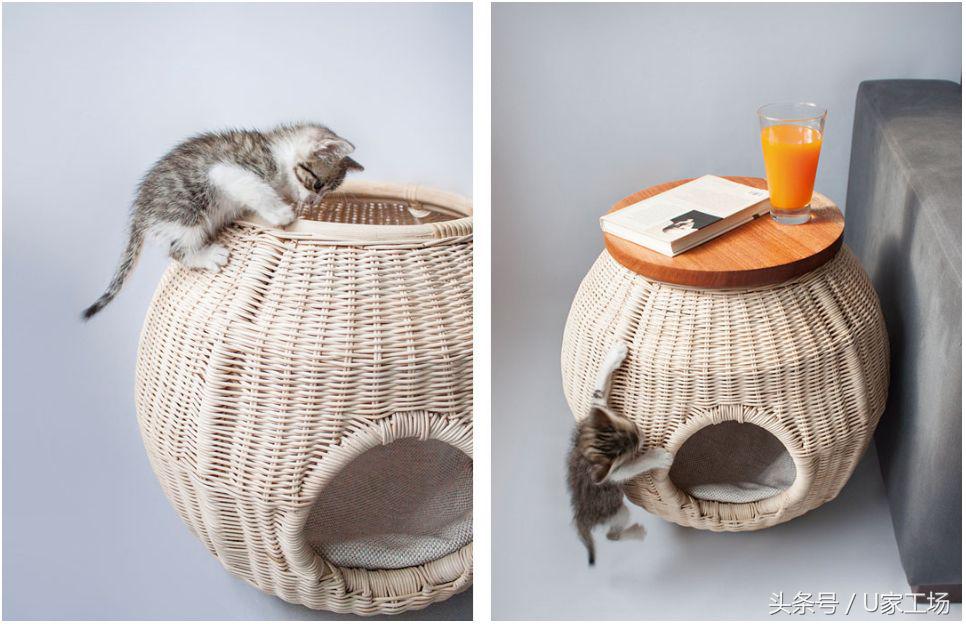 便宜又好用的猫窝有哪些,这六种猫窝你一定买过