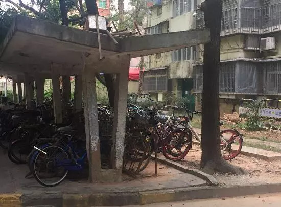 98.39%同意改造，但大半仍倾向旧改！深圳老旧小区的棚改热情消退了？