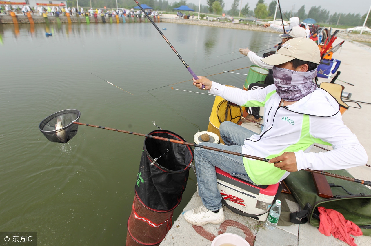 秋季黑坑鲤鱼离底怎么钓,吴说黑坑钓鱼技巧
