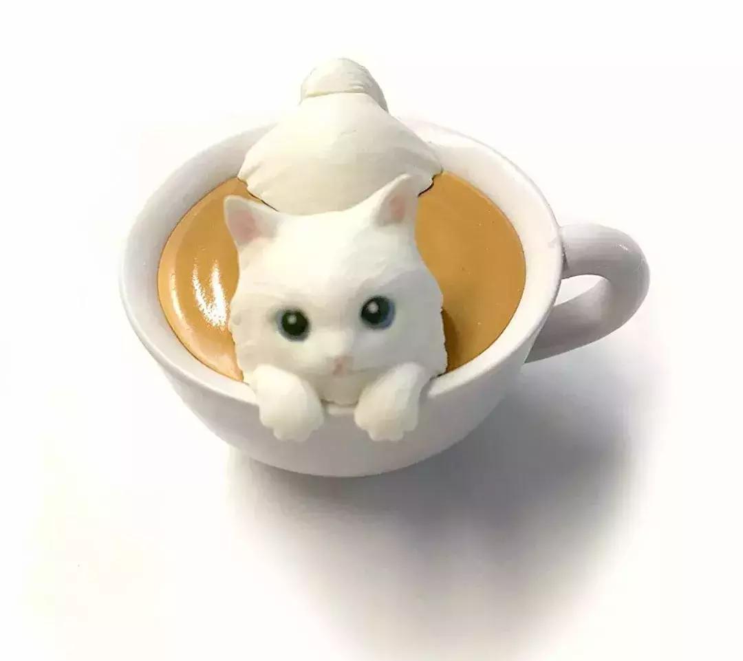 猫咪卧在盘子,猫咪卧在桌子上