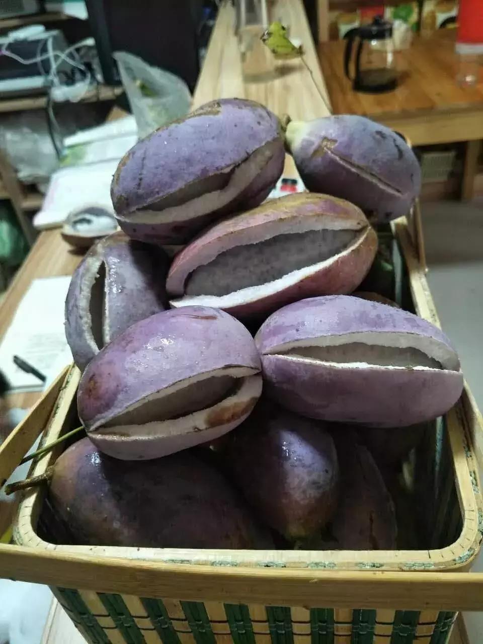 广德圣峰：如果你对田园生活向往已久，那么就请来这里吧！