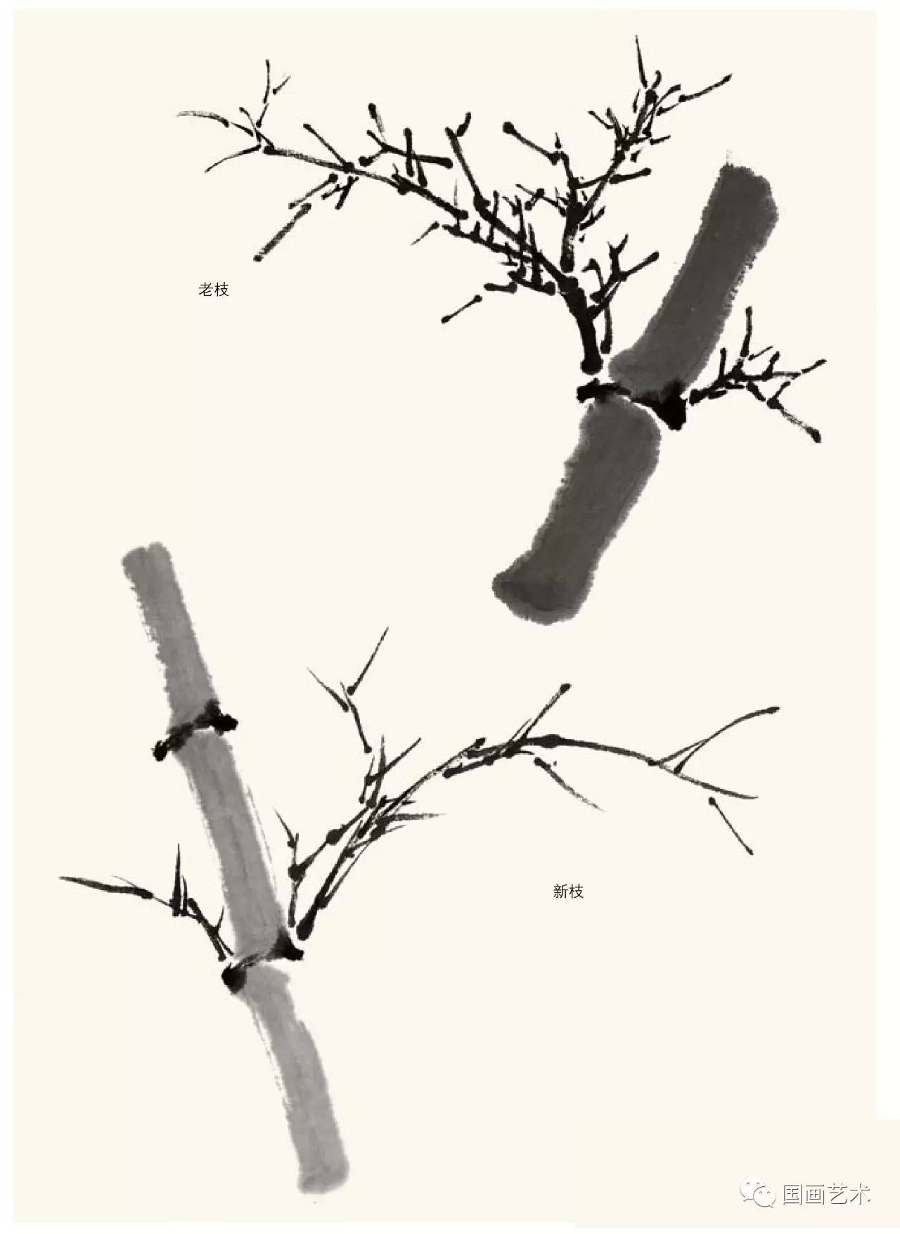 名家画竹子的技法,名家画竹子的简单画法