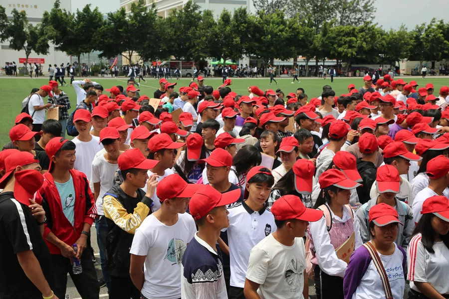 「今日宾川」既学本事还领“高”工资，这种好事给我来“一打”！