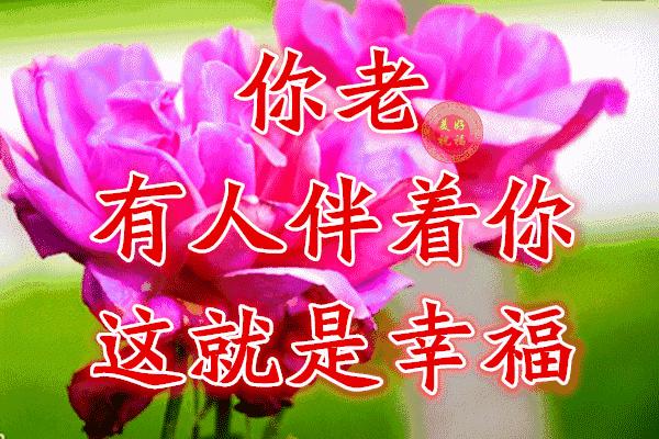 美好人生幸福相册,幸福人生的相册