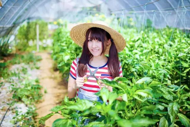 狗年犯太岁是哪几个生肖,狗年2021运势犯太岁怎么化解