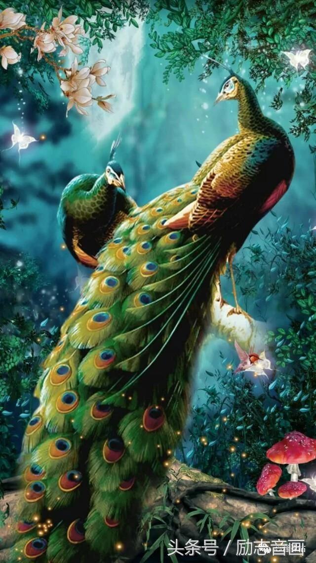 综合知识78集，赶紧保存，早晚用得上！