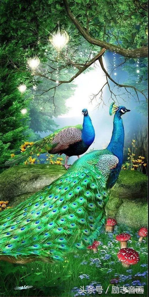 综合知识78集，赶紧保存，早晚用得上！