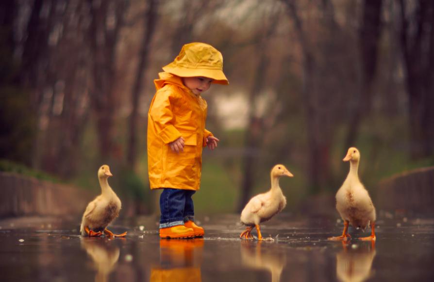 育儿正面管教帮孩子做最好的自己,正面管教的育儿范例有哪些