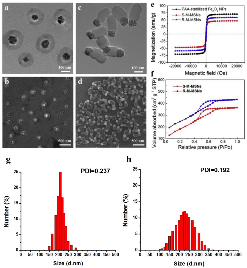 肝癌免疫治疗及基因治疗进展,肝癌基因检测靶向治疗