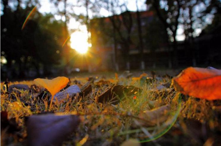 结婚后老公总是对自己发脾气,婚后发现老公有极端行为怎么办