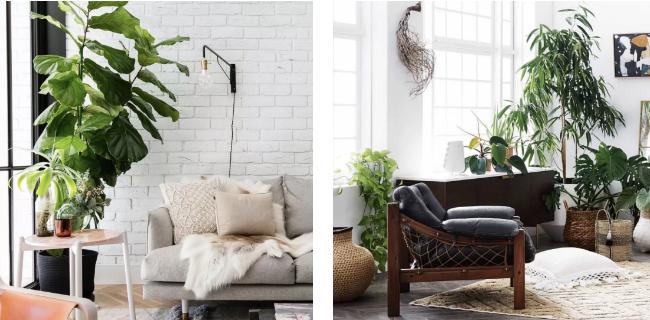 这样的家居装修你会喜欢吗,有格调的家居风格