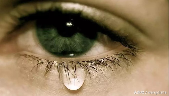 对投资的理解和感悟,对投资现状的一些思考和规划