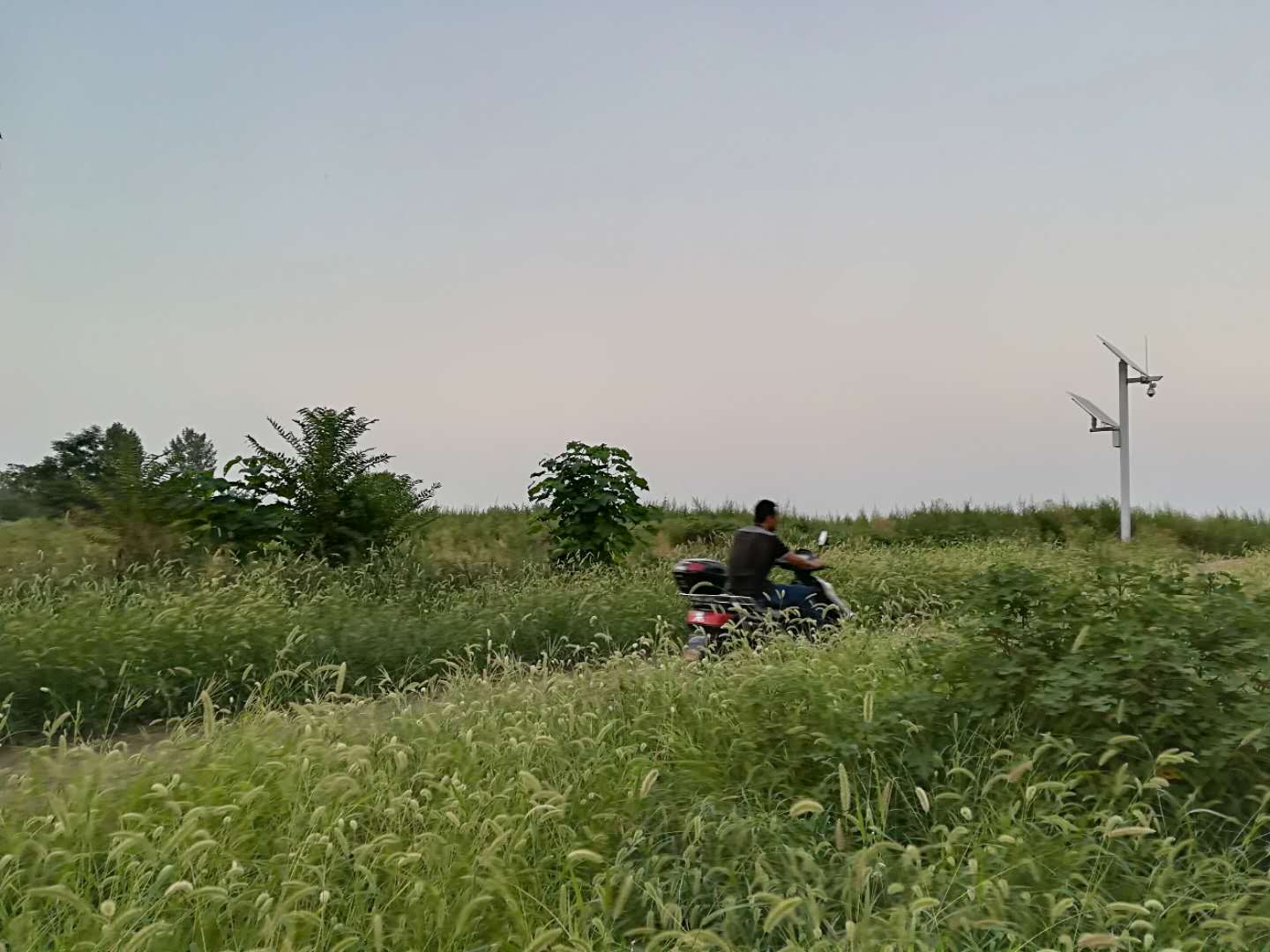 去什么天价楼兰古城，西安就有一座沉睡的“神秘古城”，免票！