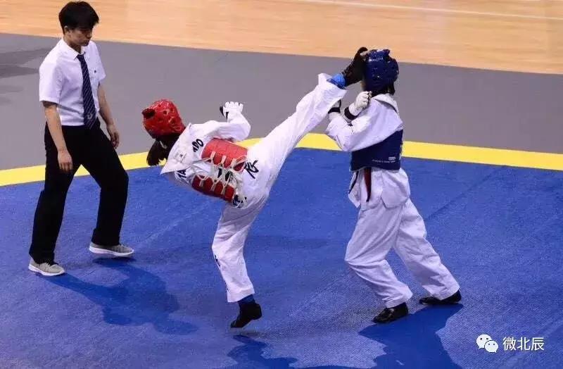 北辰亚运会冠军,天津北辰冠军