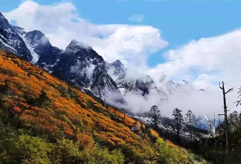 四川秋景第一名,四川欣赏秋景好去处