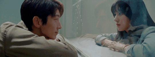 「武法律师」斯人若虹｜爱你，心动时已走过一半的路