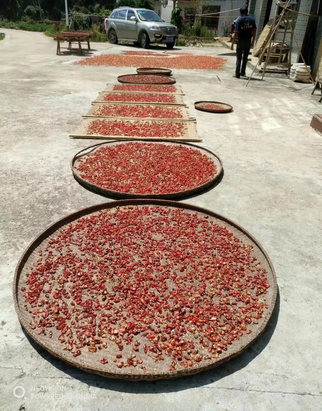 秀美乡村江西,秀美乡村活动视频