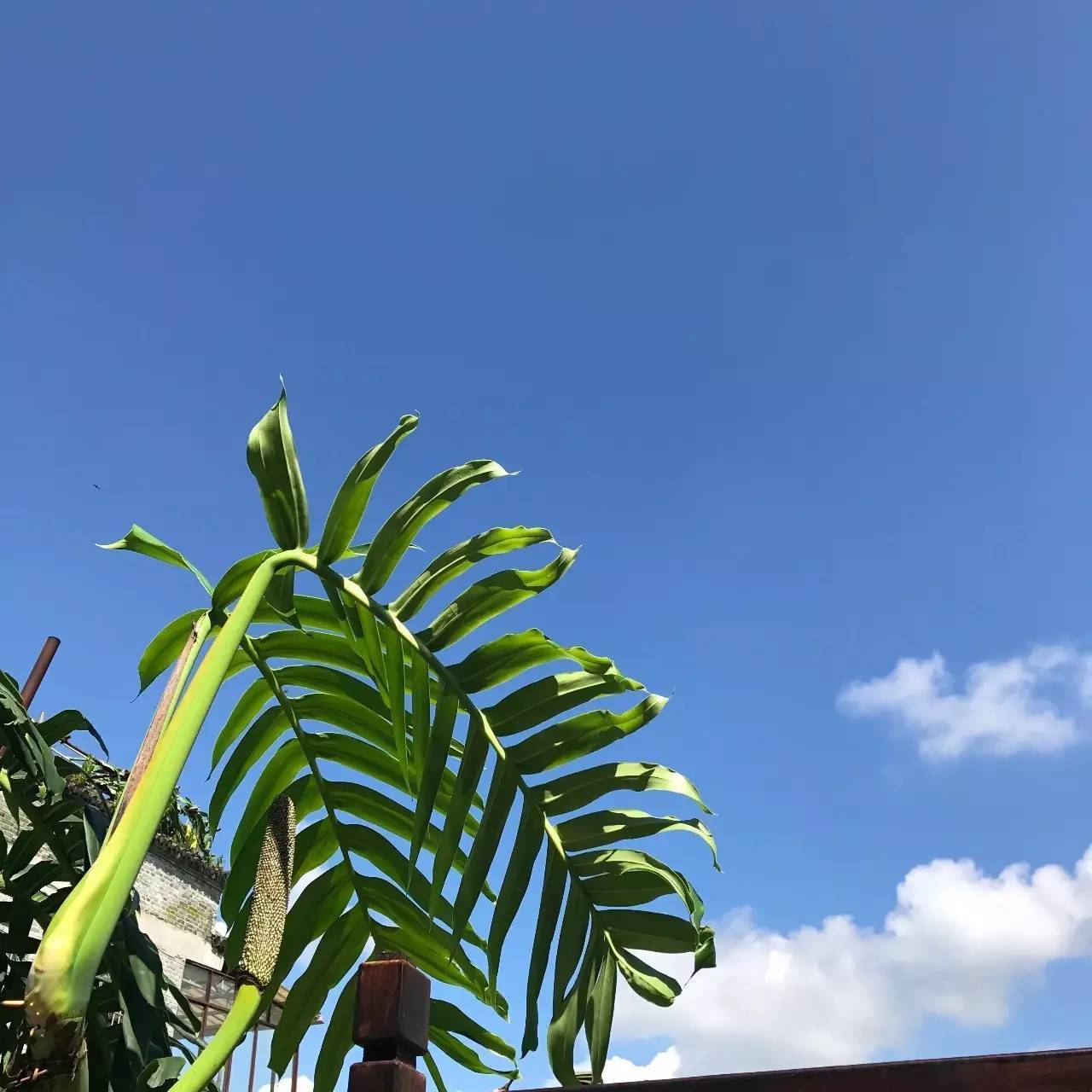 腾冲的一年四季,在云南腾冲的大山里