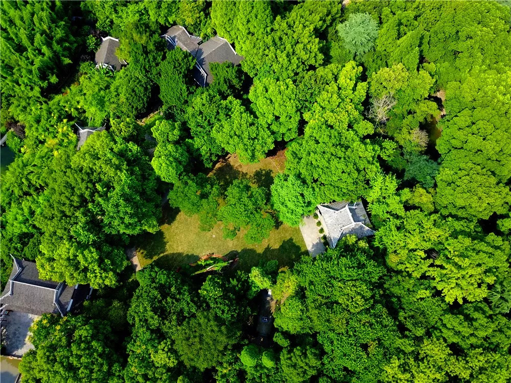 新增城市绿地情况说明,未来嘉定新增几座公园