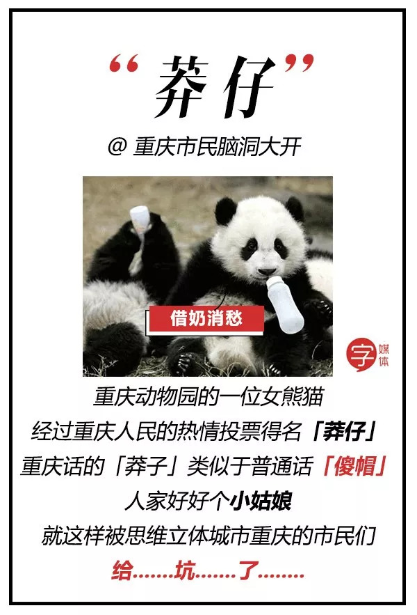 每一只可爱滚滚的背后,都有一群起名字不靠谱的人!