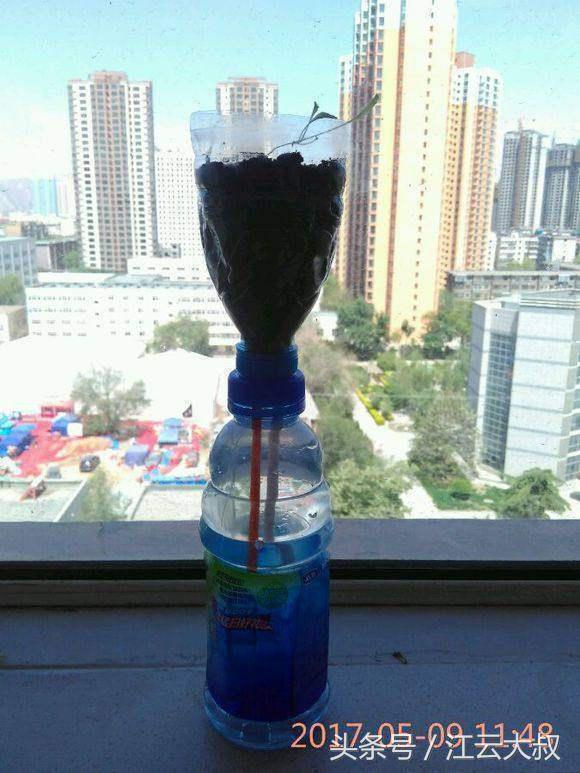 自动盆栽花卉浇水器,自制懒人盆栽浇水神器