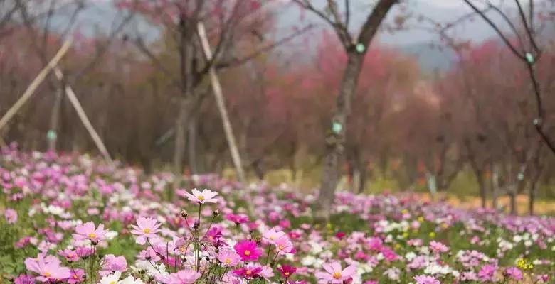 在广州生活幸福吗,在广州一个人住哪幸福指数比较高