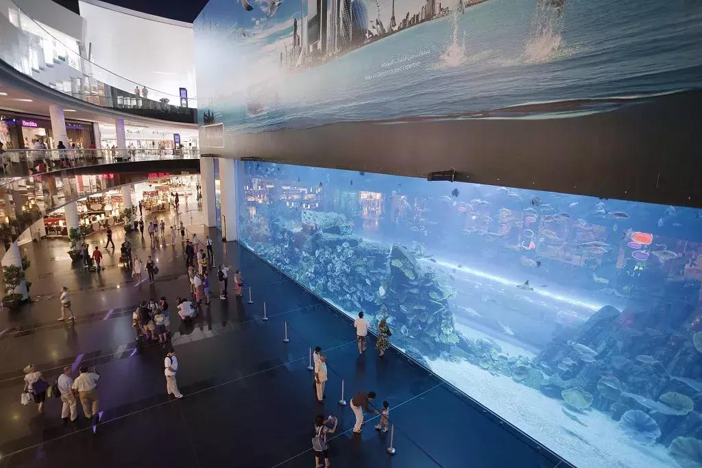 去迪拜游玩最省钱的攻略,去迪拜玩的攻略