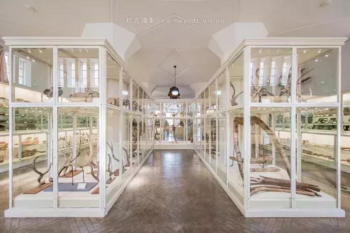 天津3日游必去十个景点免费,天津一日游最佳景点攻略