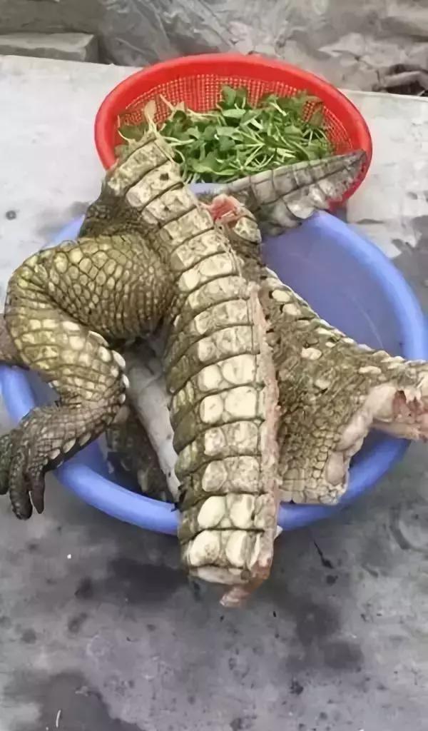 朋友圈代购真实案例,揭露各种海外代购真相