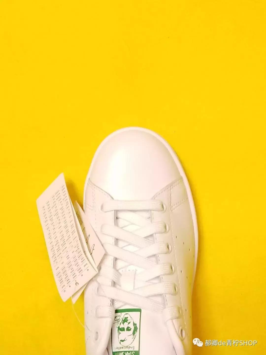 为什么绿尾少,绿尾是什么