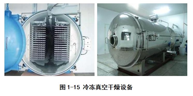 果蔬热风干燥过程,果蔬干制技术应用与研究进展