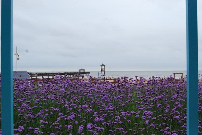 秦皇岛南戴河遛娃好去处,秦皇岛北戴河南戴河亲子游