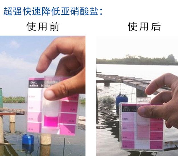 抹杀氮循环的喉咙，让亚硝酸盐不复存在